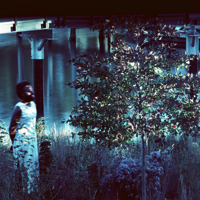 Vesper Sparrow cover